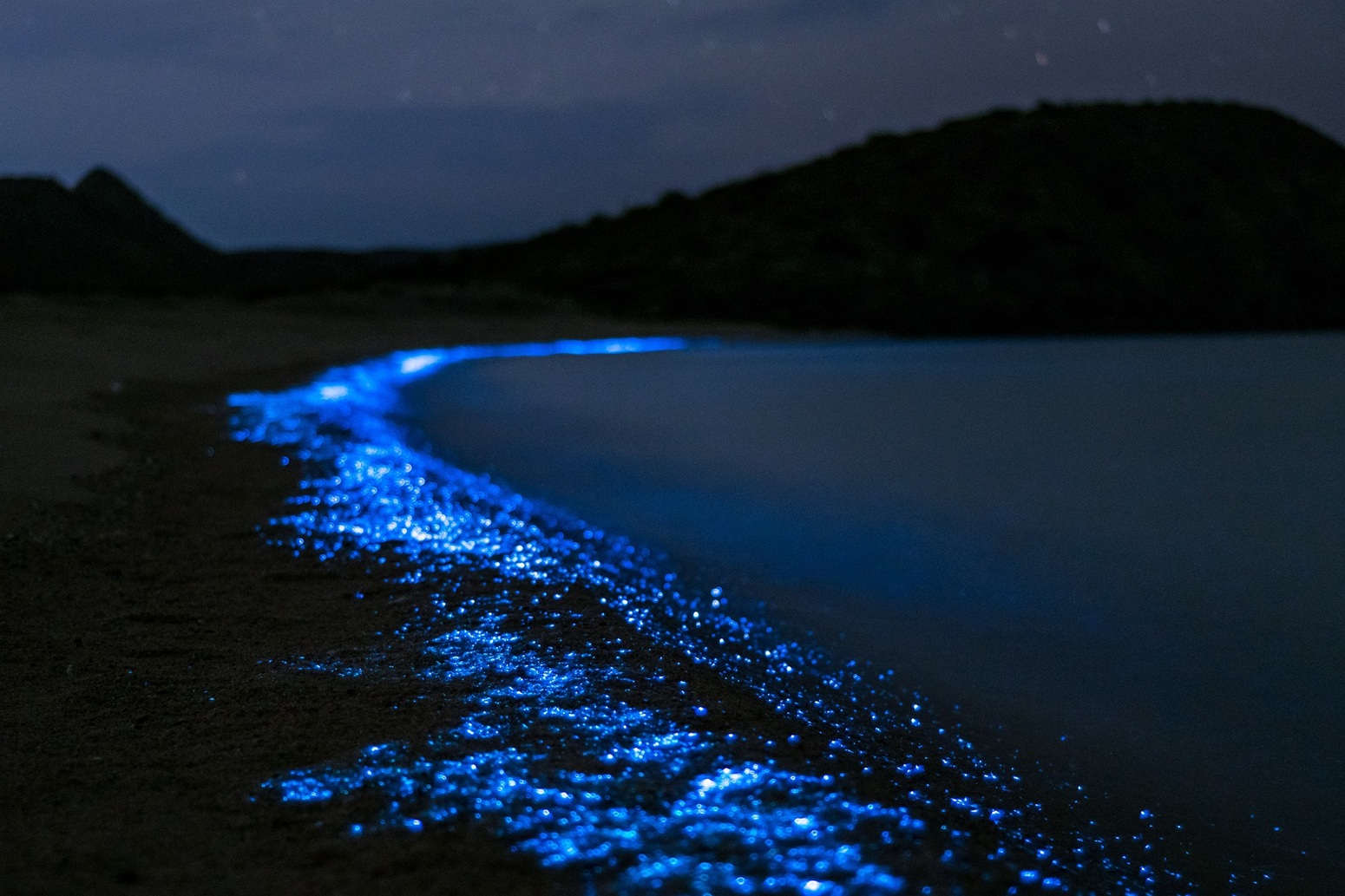 bioluminisvcencia